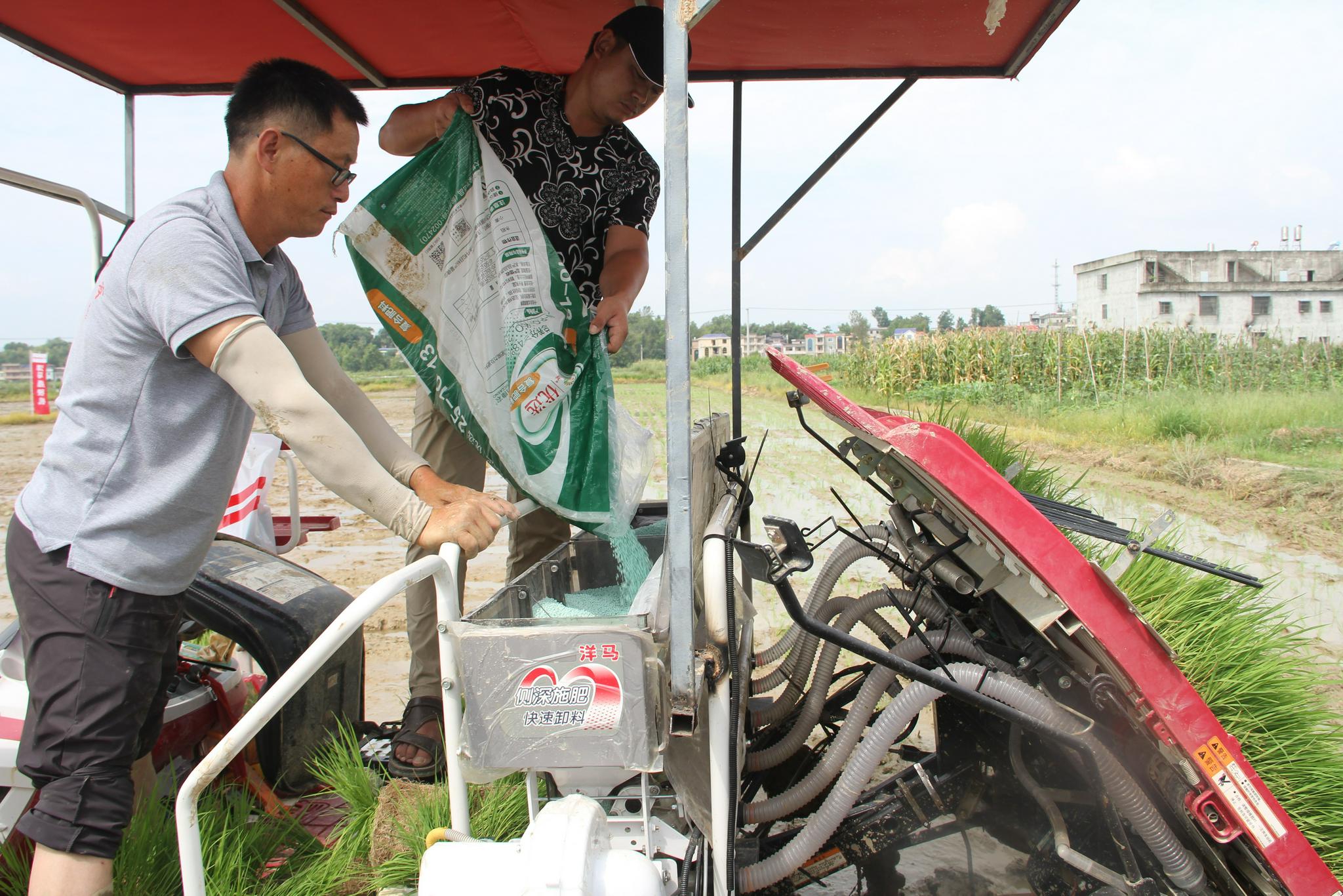 阳新推广水稻机插秧同步侧深施肥新技术