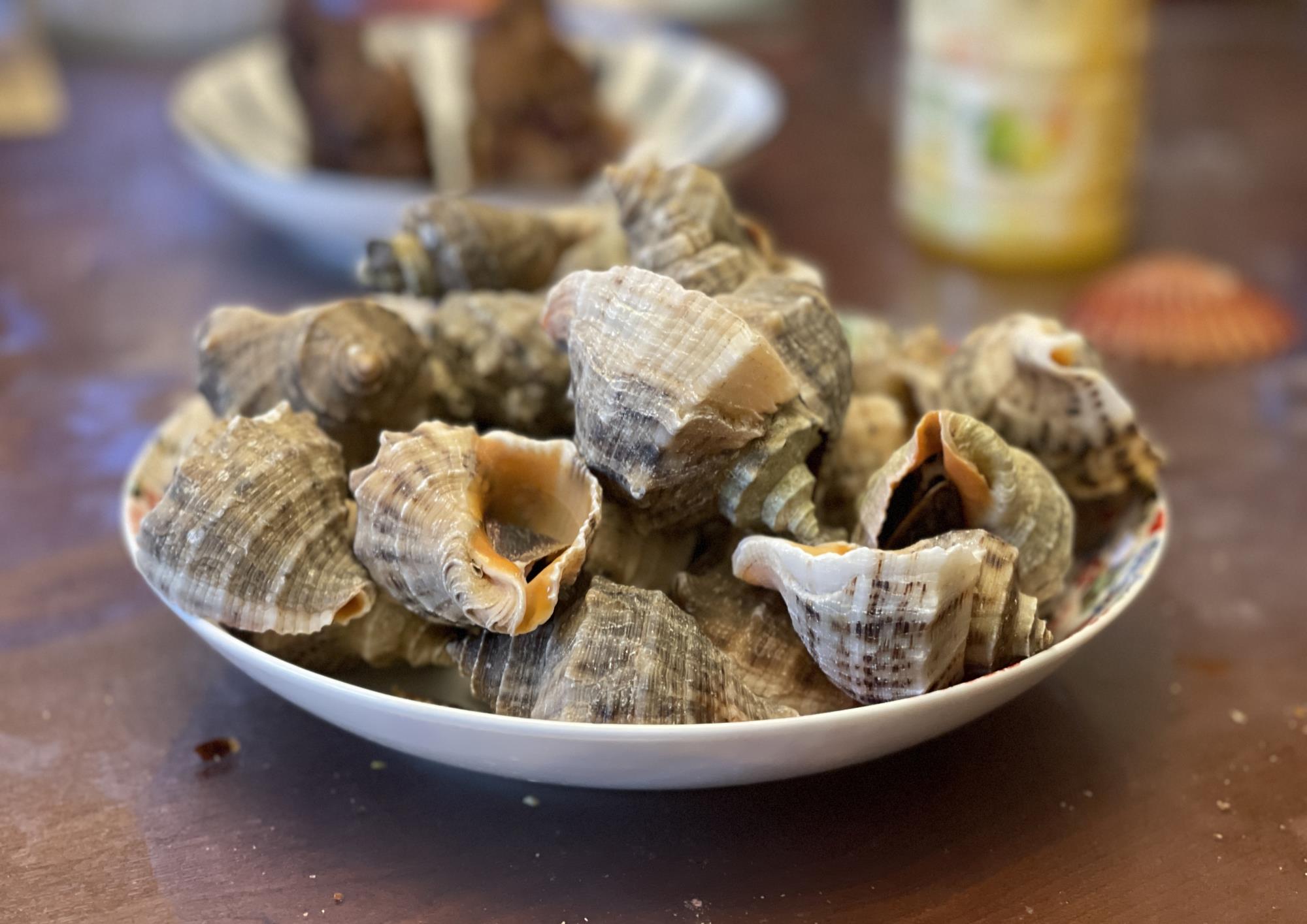 金秋美食大海螺居家也有好味道