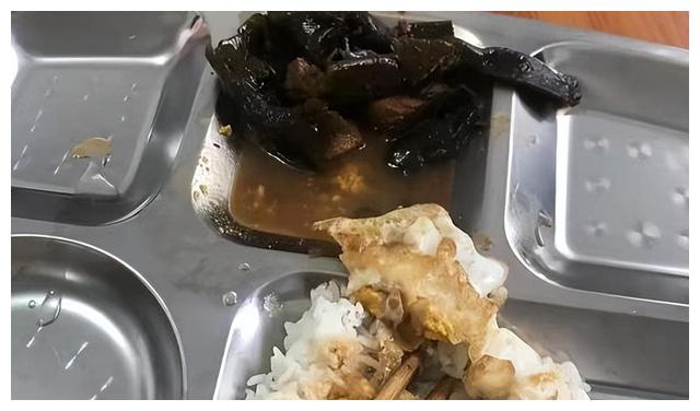 广东小伙嫌工厂伙食太差,吐槽一点油水没有,老板:免费的想要啥