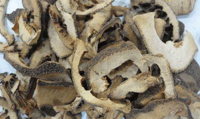 陈皮和枳壳之间的差异对比中聊聊识料的日常