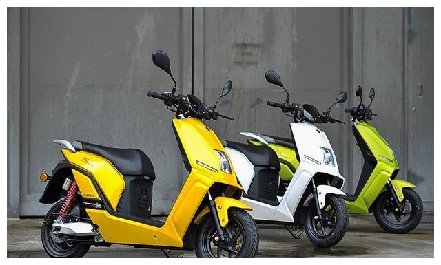 国产高颜值电动车,碟刹 正新轮胎 锂电池,博世电机,4980元起