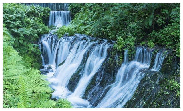 生肖属虎的朋友进入一月以后,财运增长强劲,福运皆来,喜事多遇.