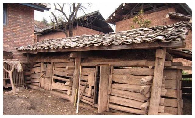 农村老汉猪圈"莫名其妙"丢猪,无奈报警惊动专家,引出惊天大密