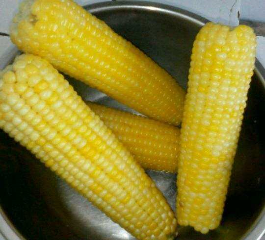 老妈煮的玉米棒子不沾一滴水软糯又香甜不老又不硬