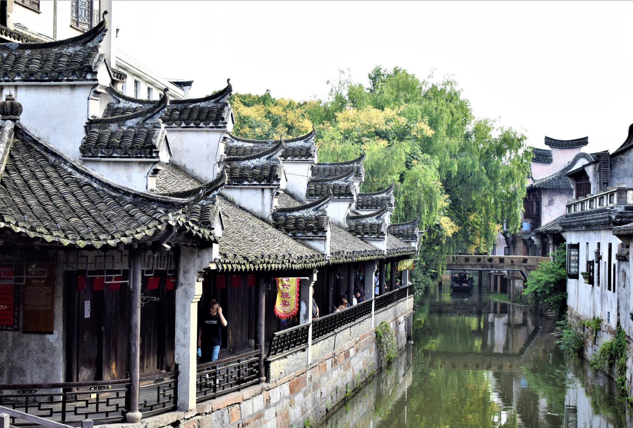 游记古镇,最想去的上海枫泾古镇_高清图集_新浪网