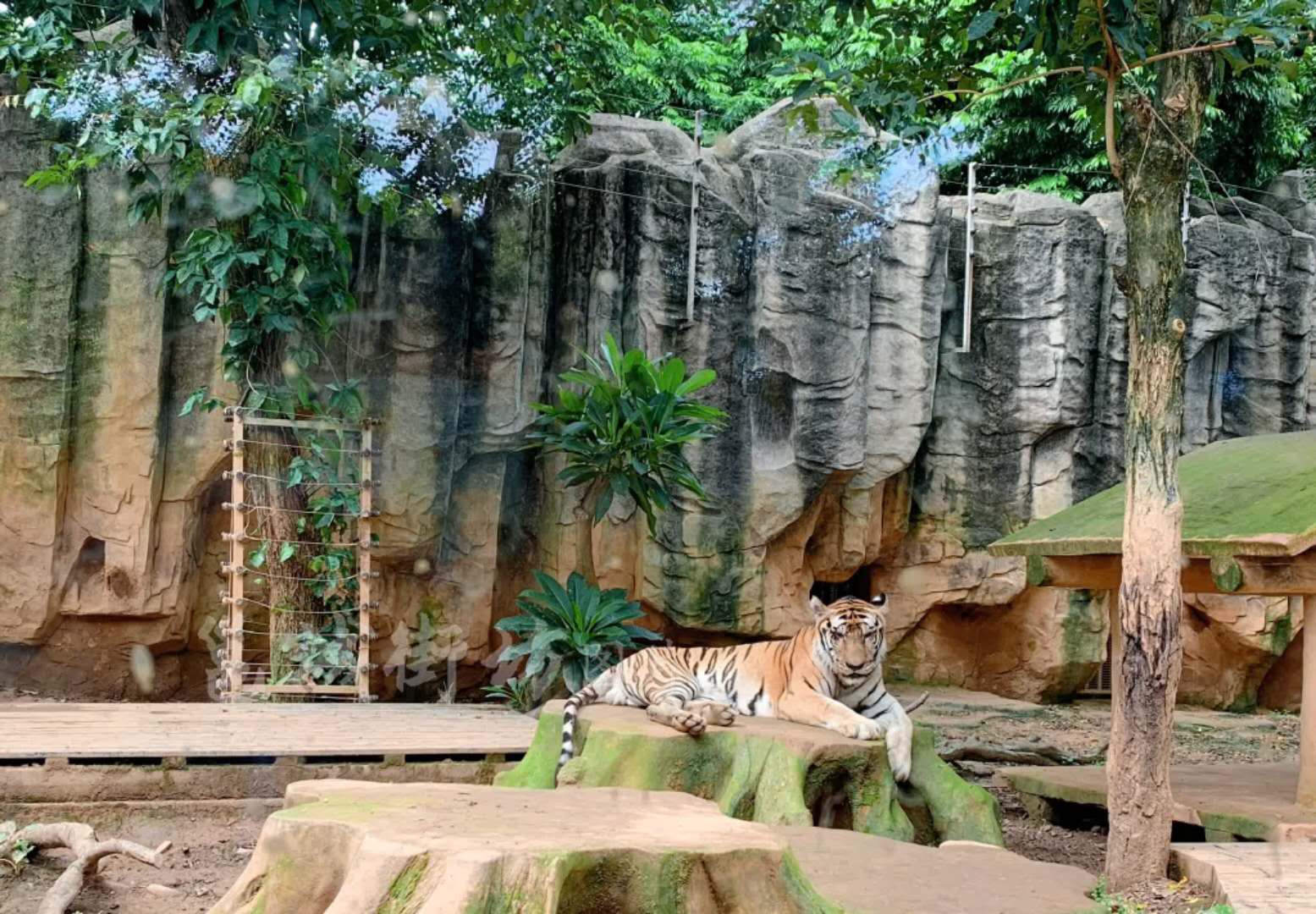 南宁动物园照片图片