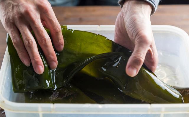 清洗海带,别只会用水洗,多加1步,泥沙自动脱落,腥味全跑光__财经头条