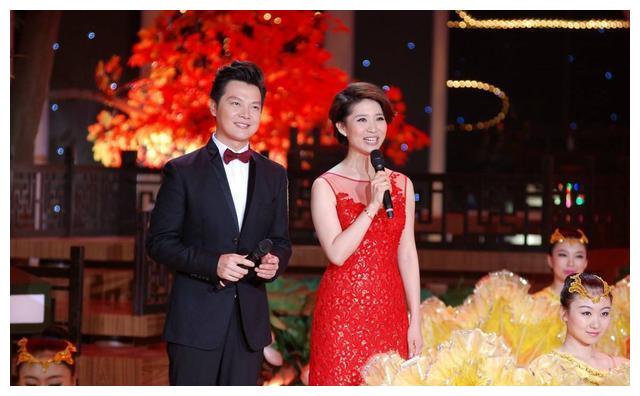 央视暖男任鲁豫:入行时曾被父亲断言做不好主持人