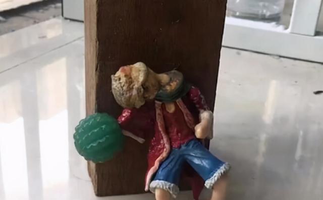 不忍直视的手办结局,妖刀姬洗热水澡,初音未来像"孤儿"