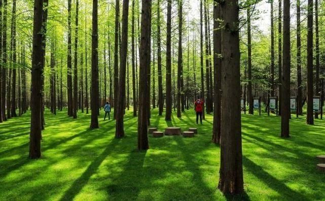 日照美食排行_日照旅游,海边美丽景点和特色海鲜美食介绍