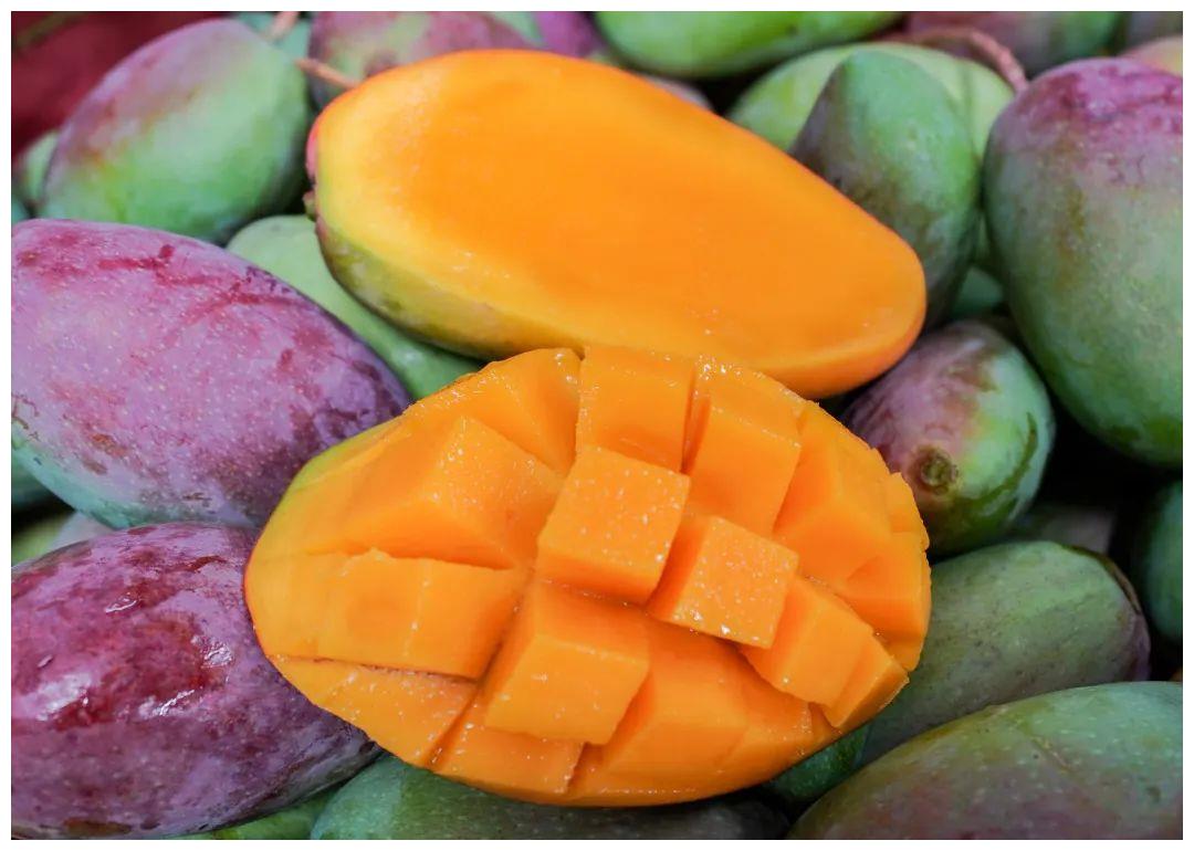 海南贵妃芒来了,树上自然成熟,皮核薄如纸,让你一口就上瘾