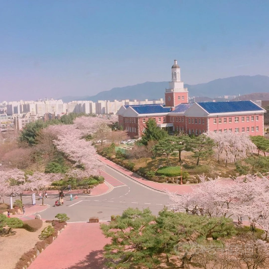 韩国启明大学向全体学生发放新冠肺炎奖学金