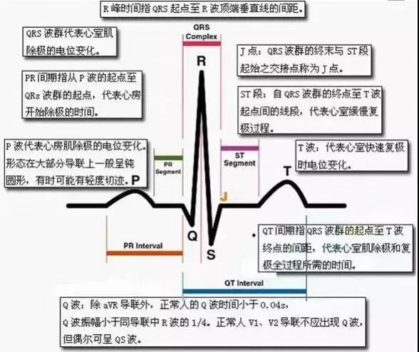 京师杏林|临床执业医师实践技能必考点|杏林|房室|心电图_新浪新闻