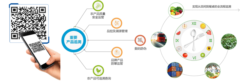 溯源系统,追根溯源,保证产品安全__财经头条