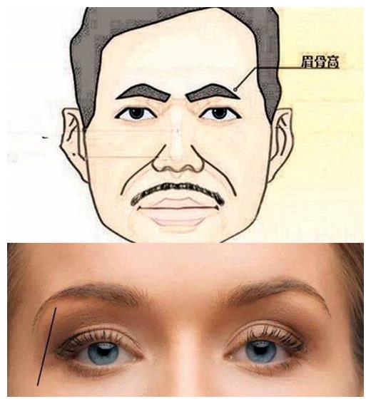 眉骨高低对一个人的面部轮廓太重要了眉骨高者上镜极占优势