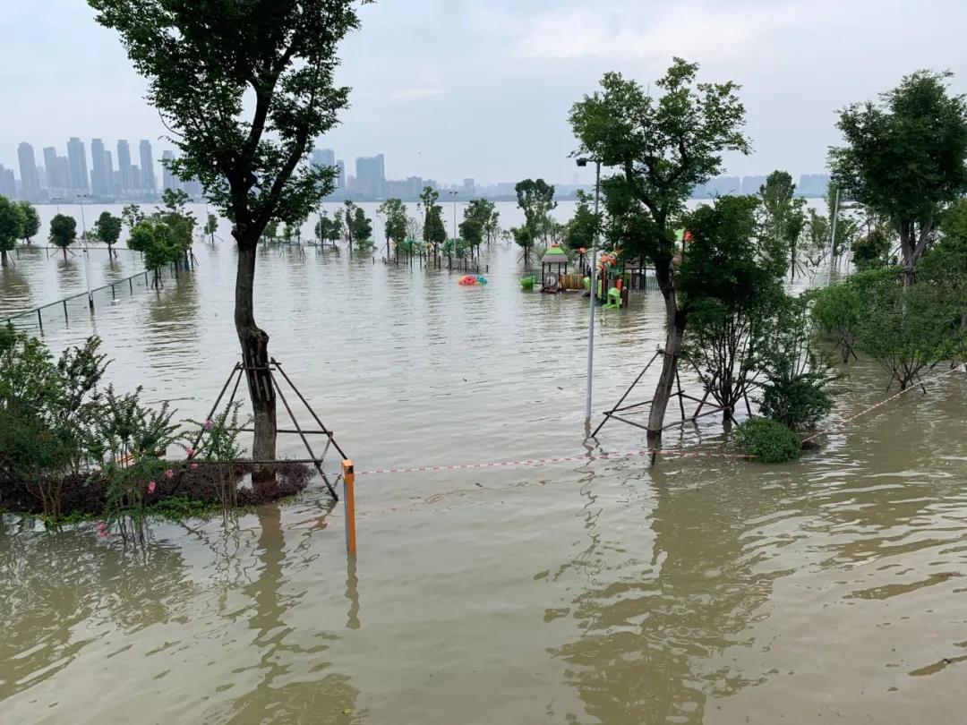 大曝光,武汉长江大堤洪灾现场真实照片|江滩公园|水位|洪水_新浪新闻