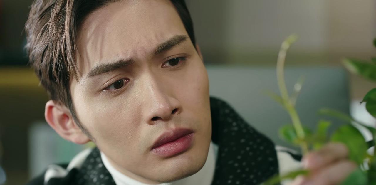 司藤x秦放:苍了天了,我喜欢的女孩子竟然是我太姨