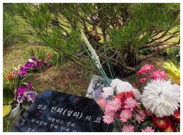 可以看出,崔雪莉的坟墓是在一座环境优美的陵园里,静谧又秀丽,在墓碑