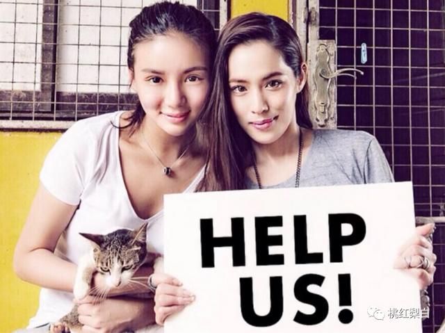 做不成赌王儿媳,<a href=