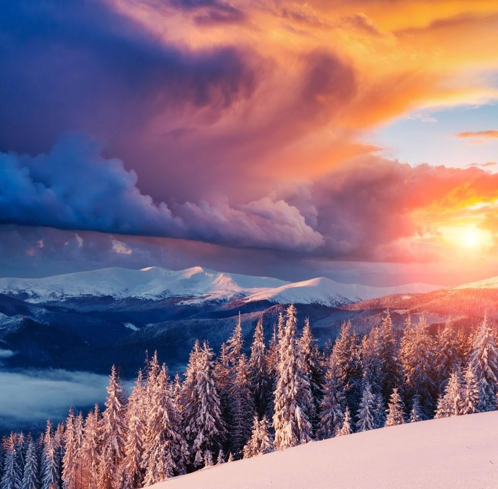 那美丽的飘雪黄昏