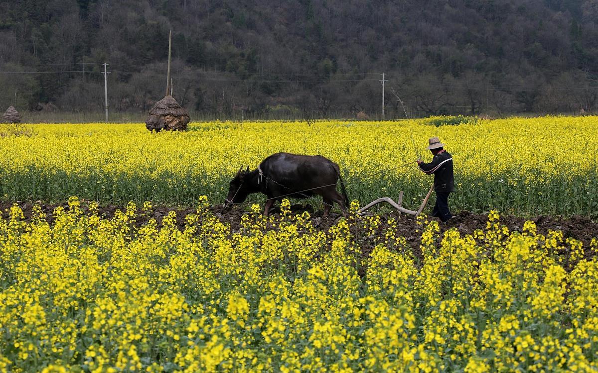 春天带来了什么?农村小伙眼中的季节,就是不一样
