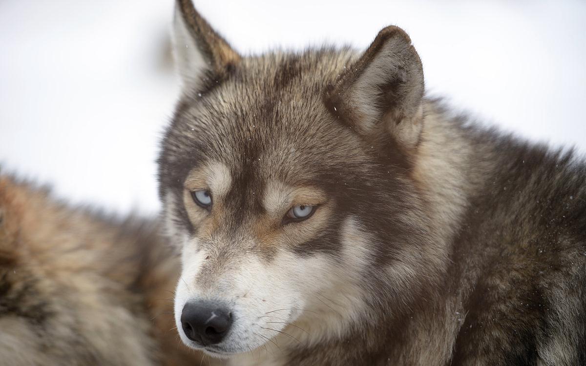 SEO外链怎么发面做法