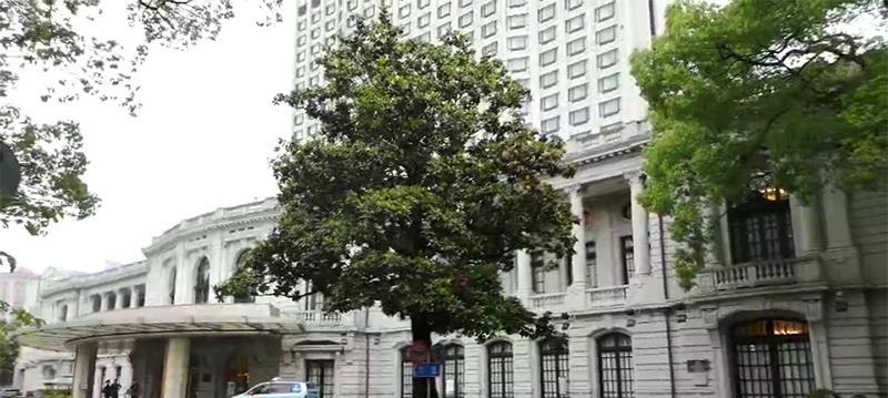 上海罕见的法式建筑 占地33亩 近三万平方米的花园 免费参观 财经头条 上海罕见的法式建筑 占地33亩 近三万平方米的花园 免费参观 财经头条