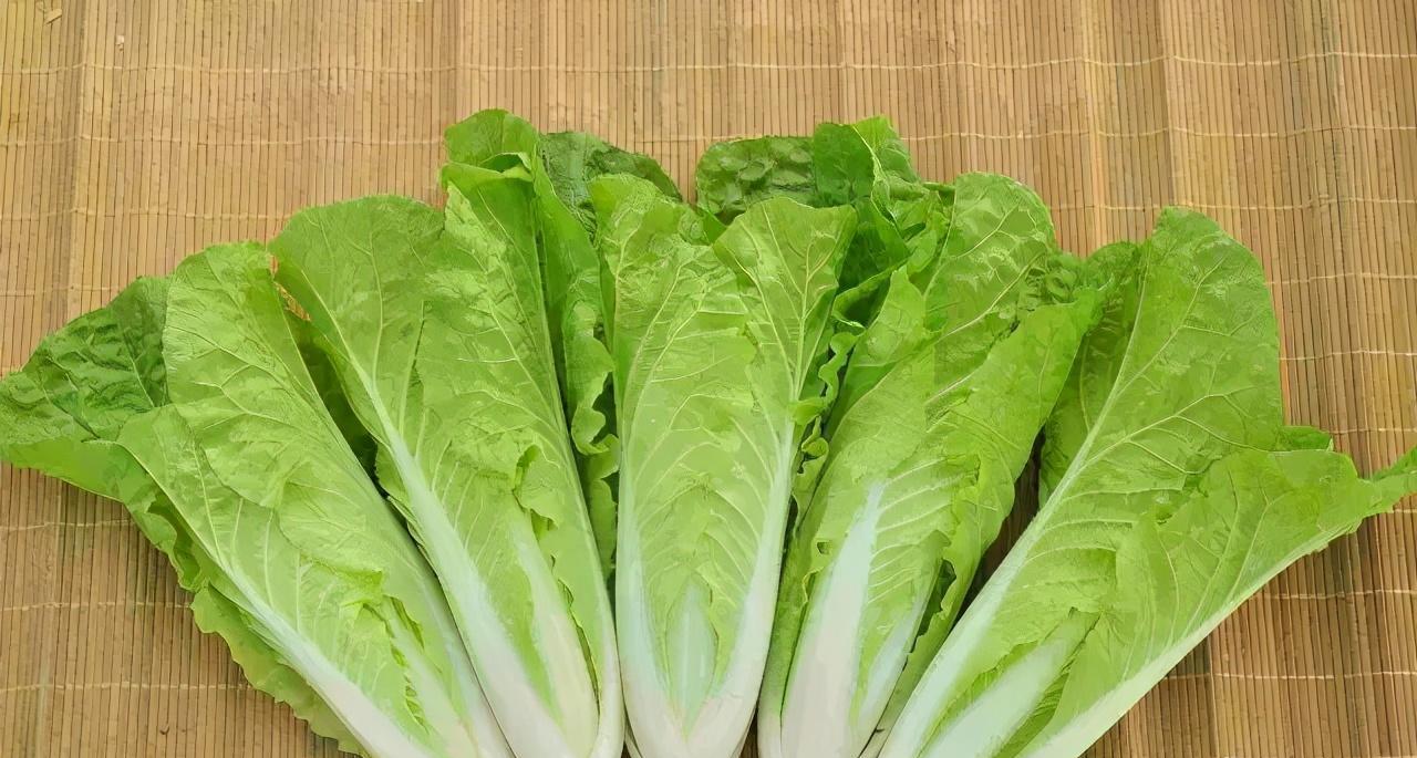 这菜和小白菜长得"太像了",老菜农告诉你:差别很大,别买错了