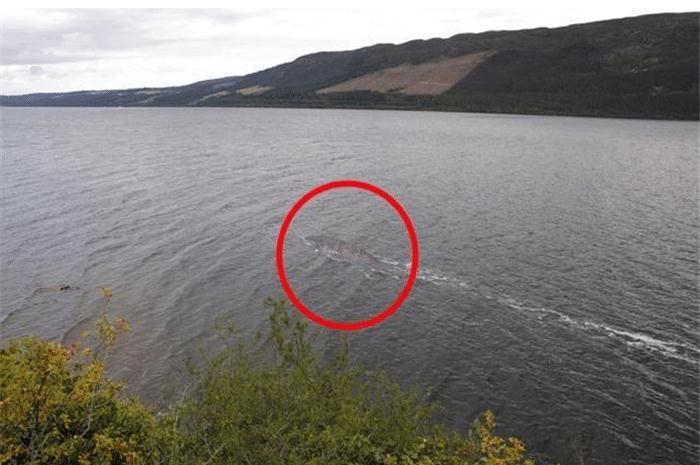 尼斯湖水怪到底是什么图片