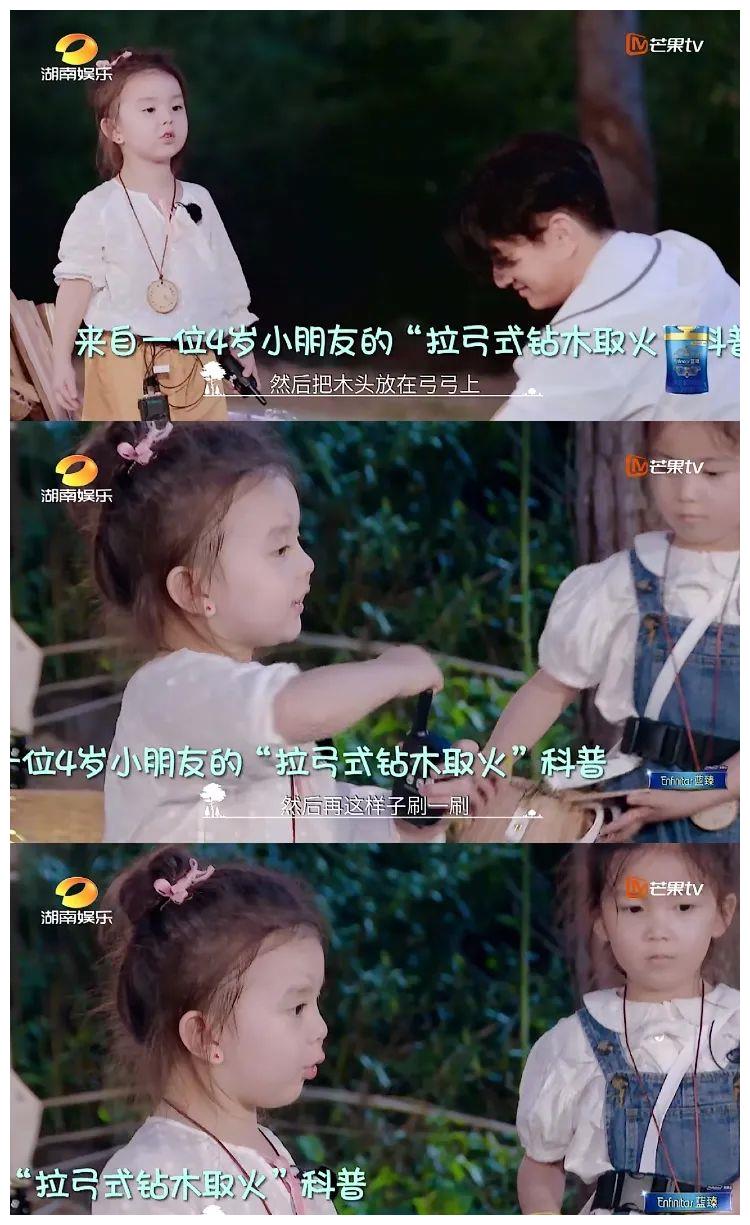 奇妙小森林打开大自然这盒巧克力成长和爱都是它的味道