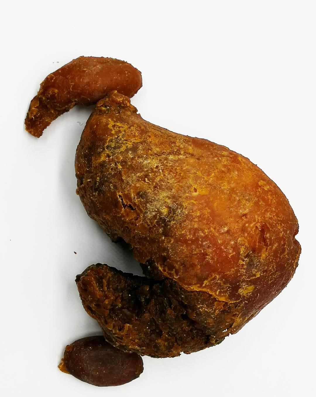 深圳博达亿合荐精品鸡宝