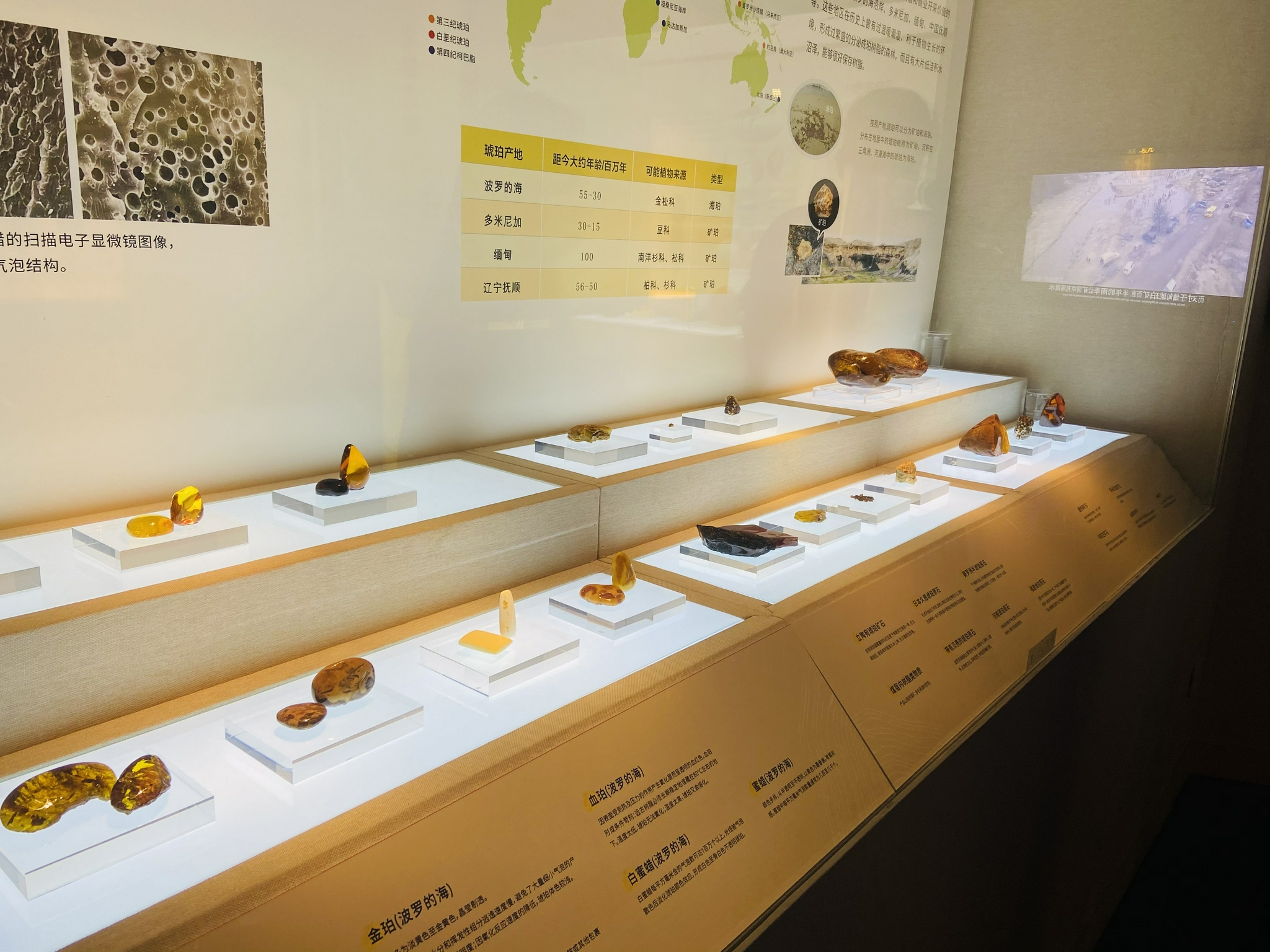 本次展览由深圳市宝安区世纪琥珀博物馆协助展出,展览不仅包含众多
