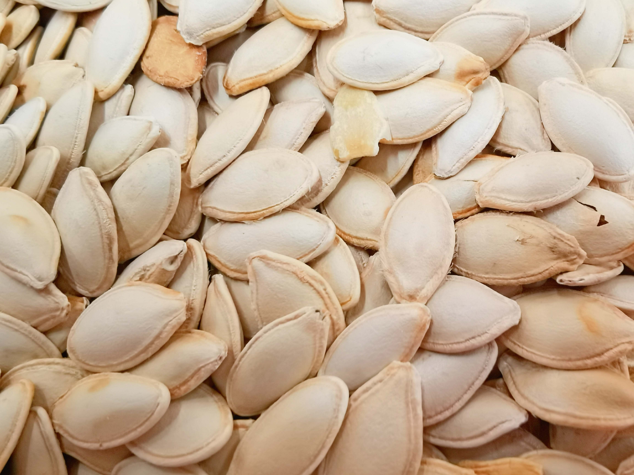 白南瓜子原创拍摄