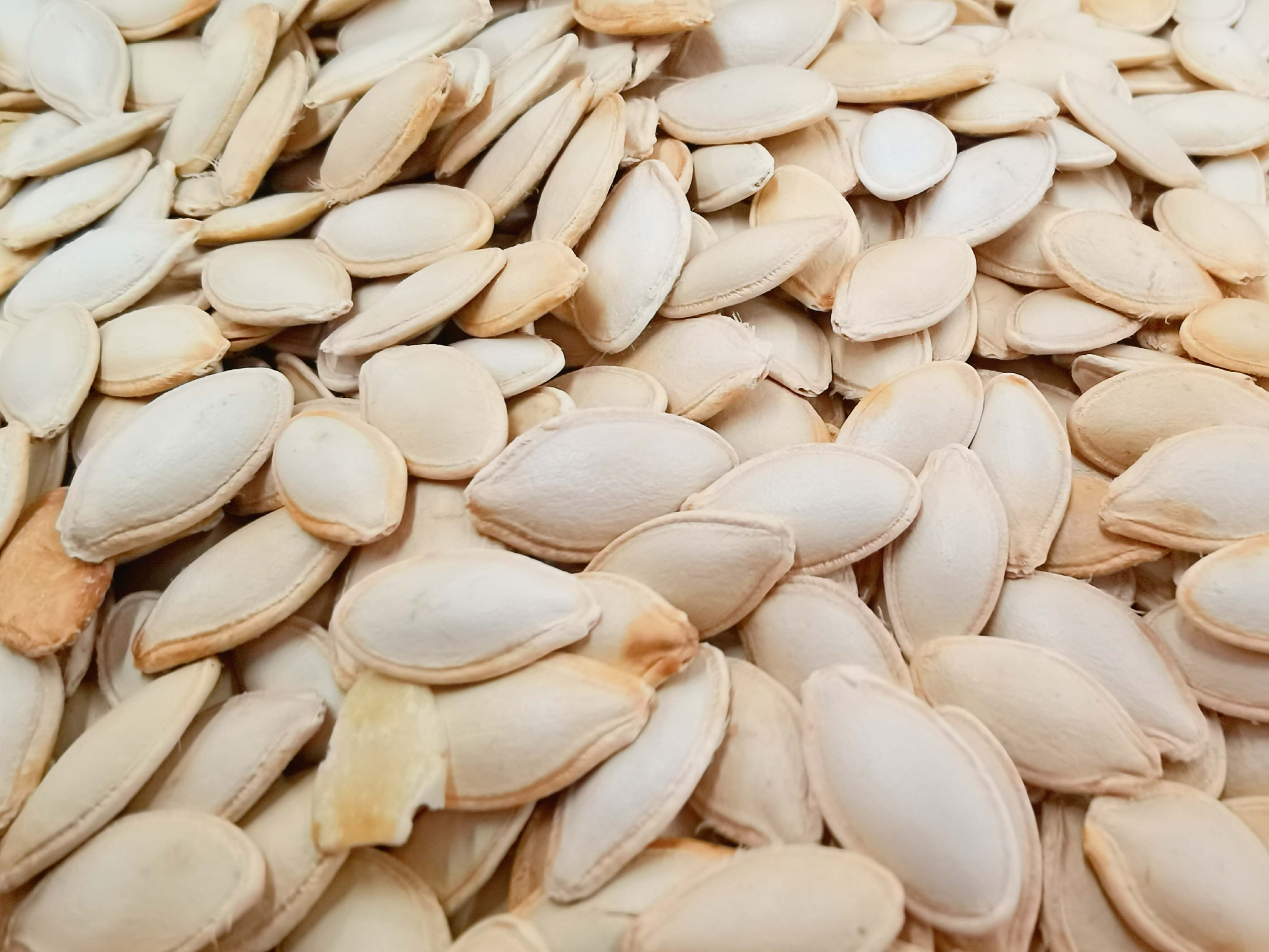 白南瓜子原创拍摄