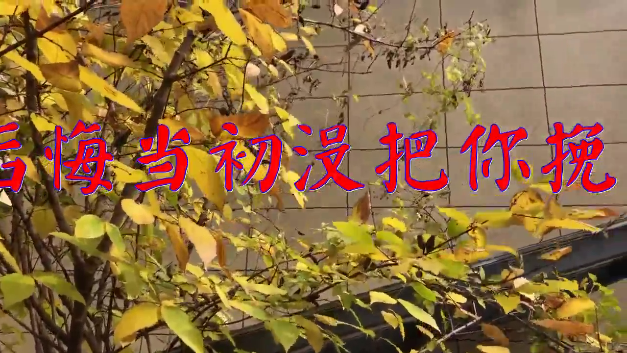 《后悔当初没把你挽留》,歌声委婉陶醉