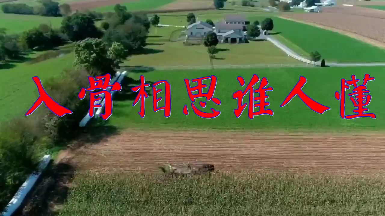 龙飞的《入骨相思谁人懂》,热情洋溢,句句走心