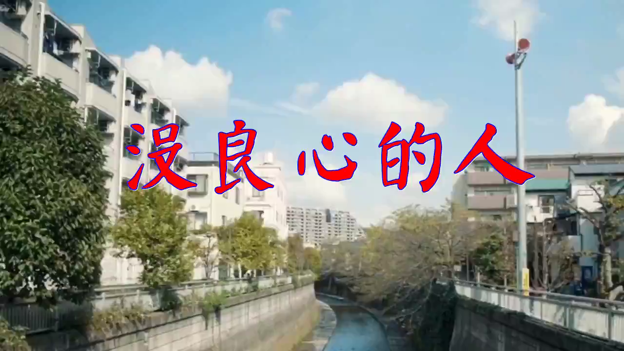 邓丽君的一首《没良心的人》,听得让人陶醉,不听还不行