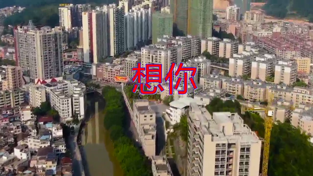 分享邓丽君的经典歌曲《想你》,婉转悠扬,把我听醉了