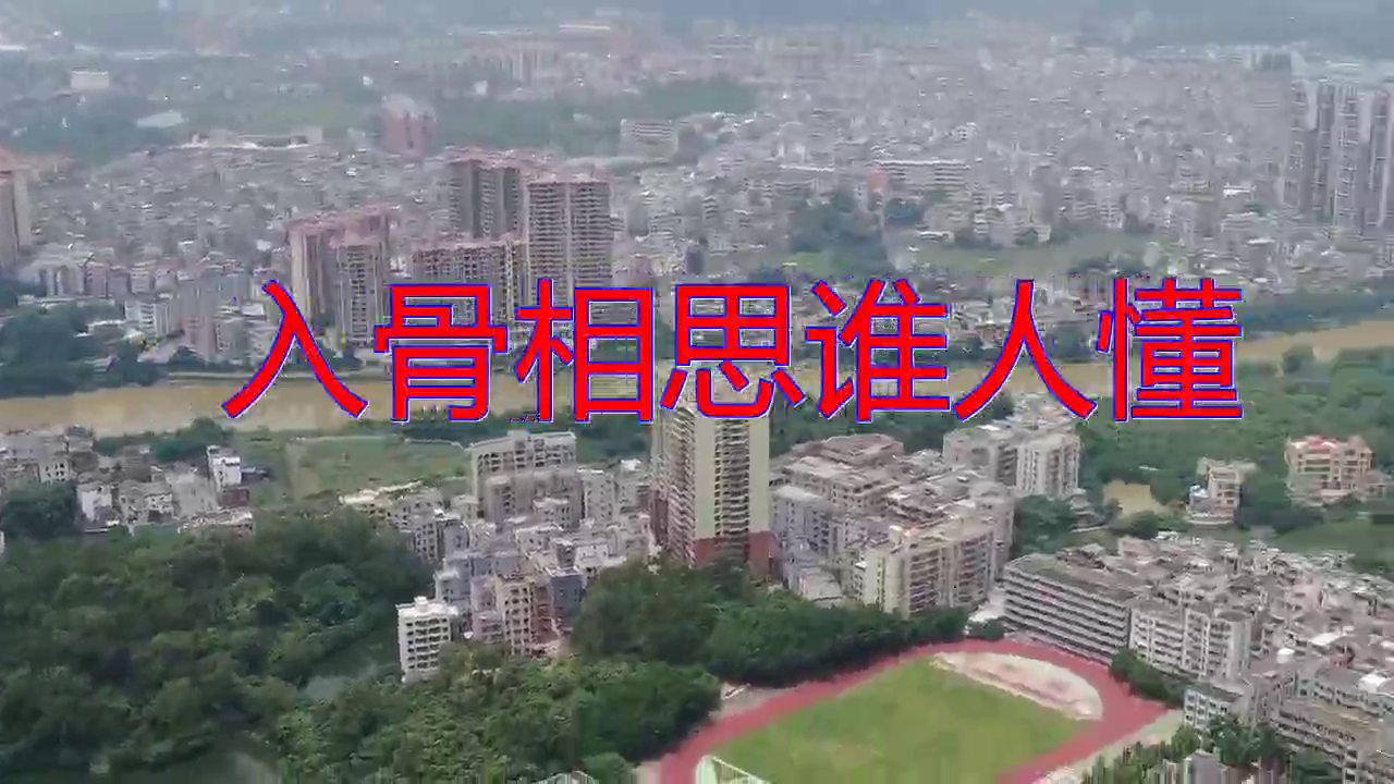 龙飞《入骨相思谁人懂》,犹如天籁,优美的歌谣