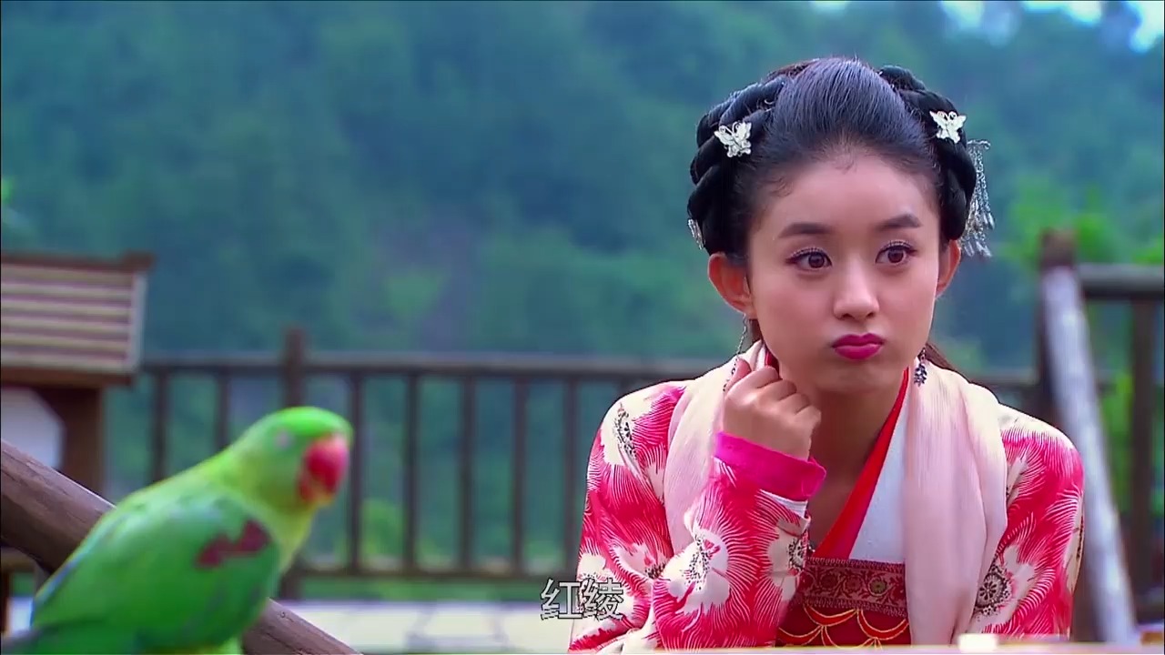 追鱼传奇夫子发现了鹦鹉的不对劲气得惩罚了红绫一顿