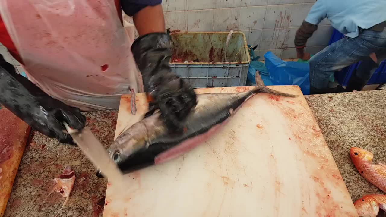 国外专业杀鱼技巧手法让人叹为观止