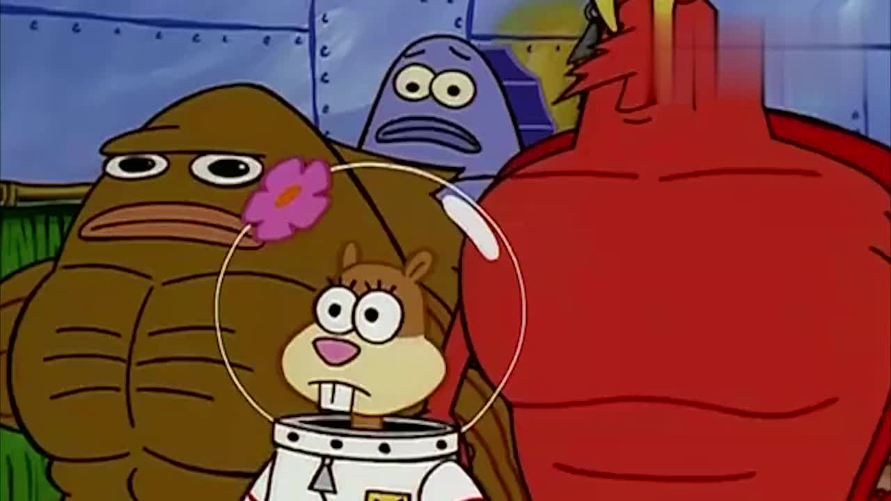 珊迪邀请海绵宝宝参加健美大赛,这下海绵宝宝有些慌了