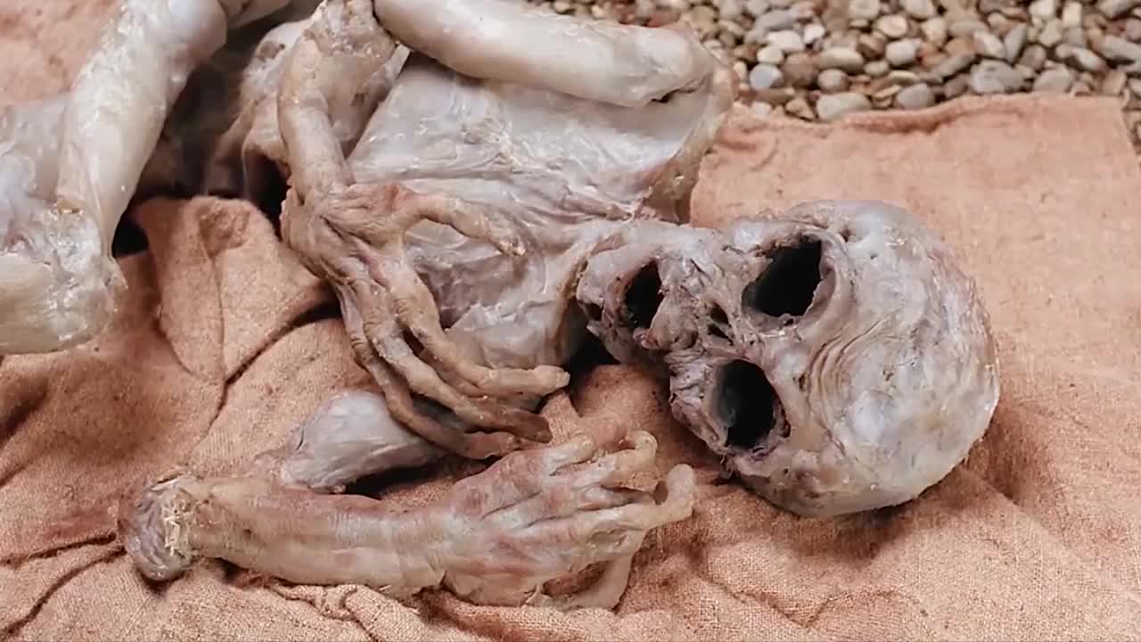 在地球上发现外星人尸骸而且不止一个