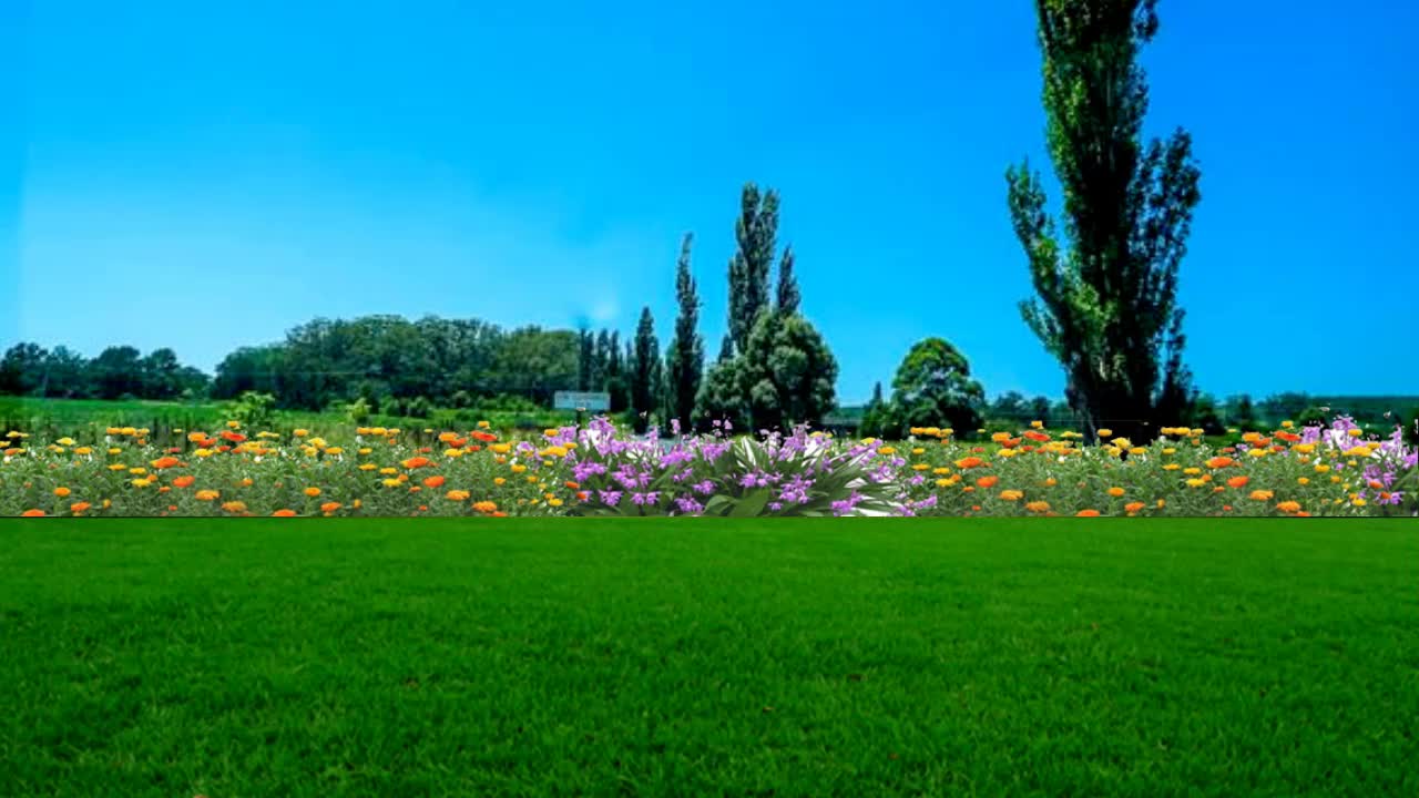 广场舞一起走天涯旋律优美醉人简单又好看