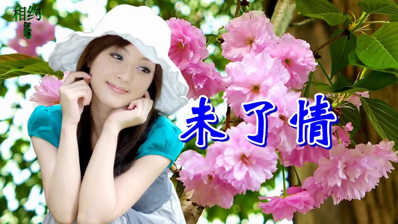 没完没了的情歌