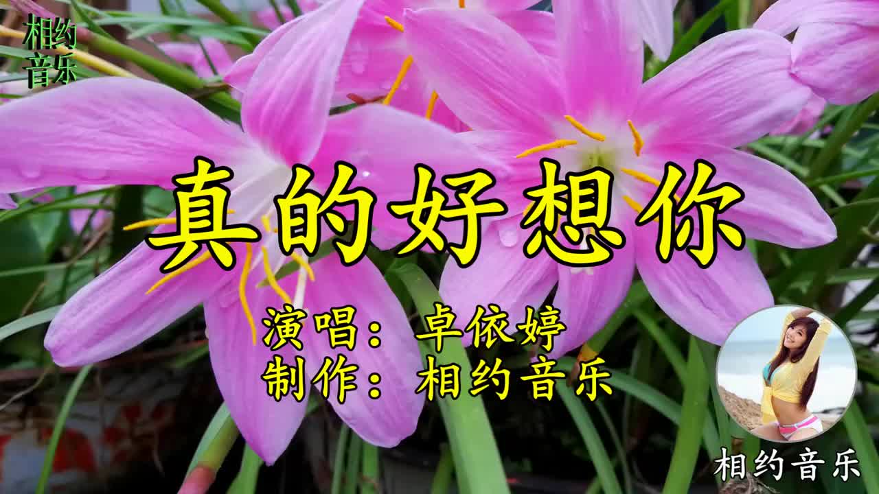 卓依婷—《真的好想你》歌声太美了!