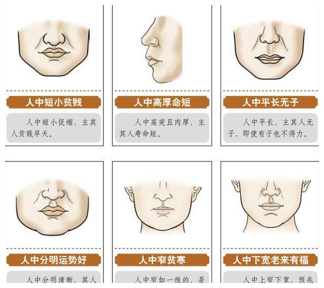 算命先生教你从人中看你是长命或短命