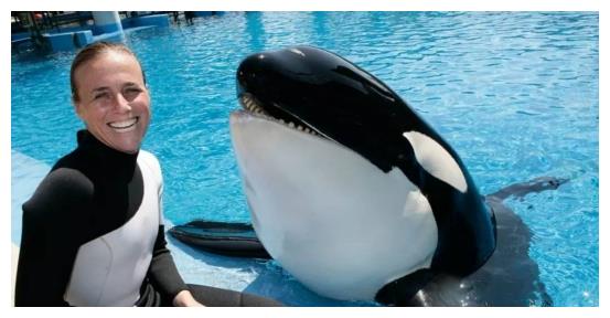 该禁止动物表演吗？<a href=