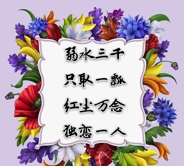 轻轻的告诉你:弱水三千,只取一瓢;红尘万念,独恋一人!