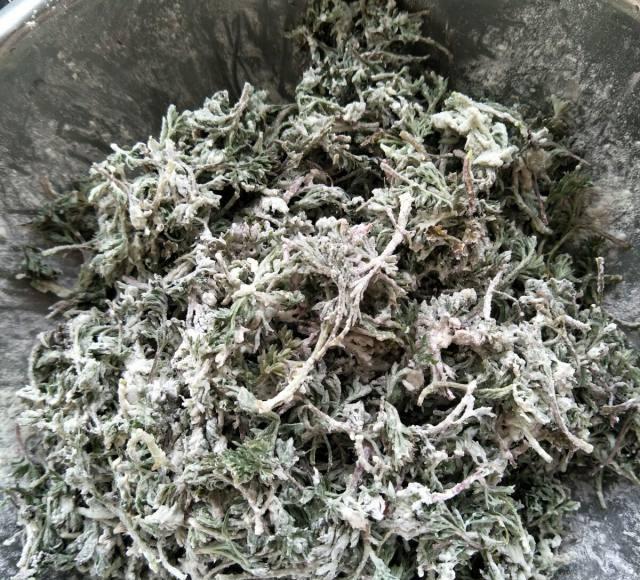 粉蒸茵陈,既能当菜又能当主食,连小孩子都能吃2碗